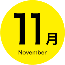 11月